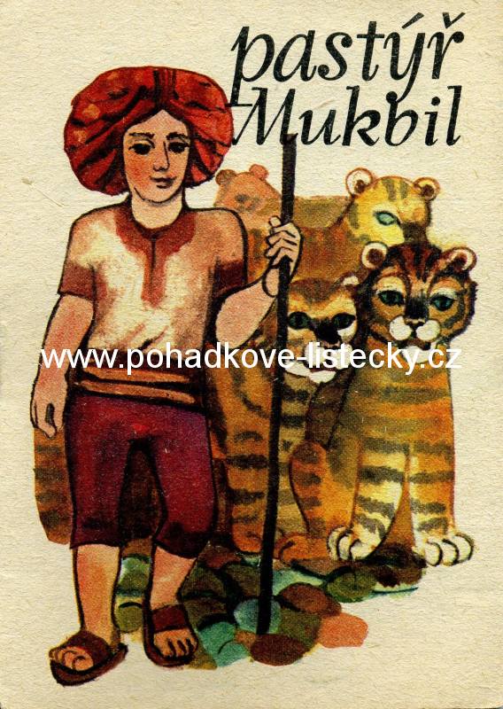 Pastýř Mukbil (30)