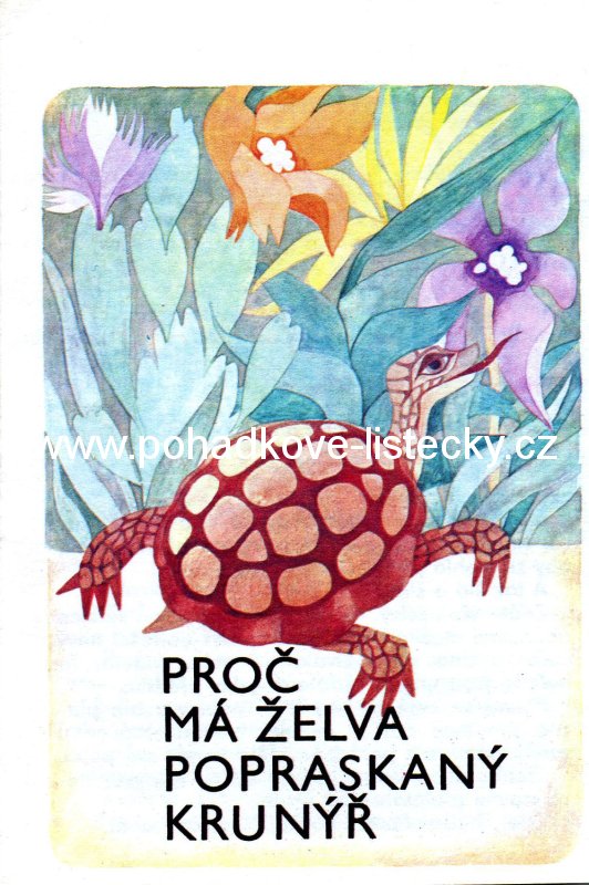 Proč má želva popraskaný krunýř (45)