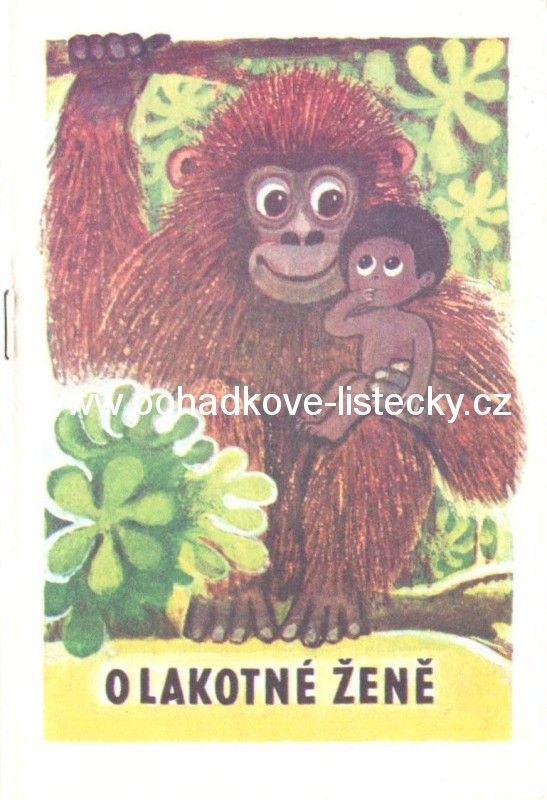 O lakotné ženě (48)
