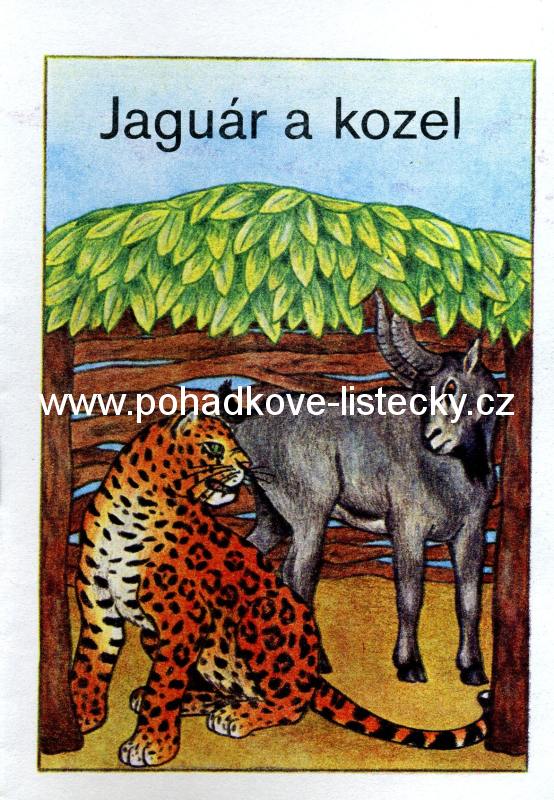 O mluvícím ptákovi (65)
